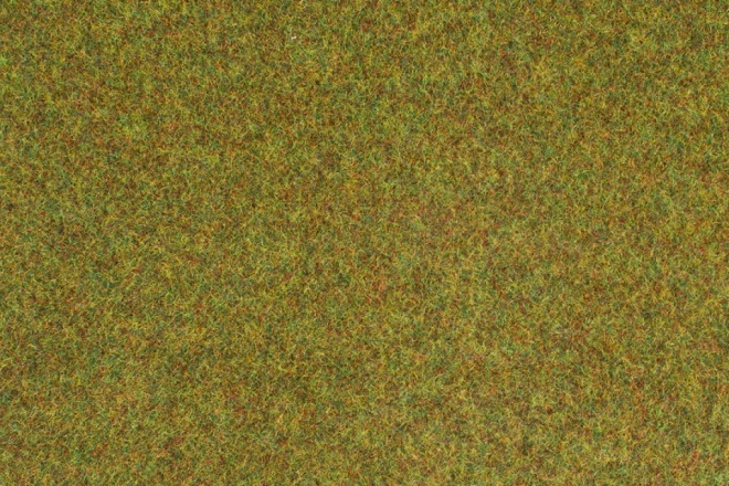 Meadow mat light green 75 x 100 cm<br /><a href='images/pictures/Auhagen/75213.jpg' target='_blank'>Full size image</a>